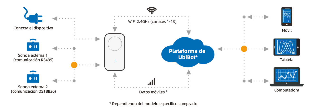 network