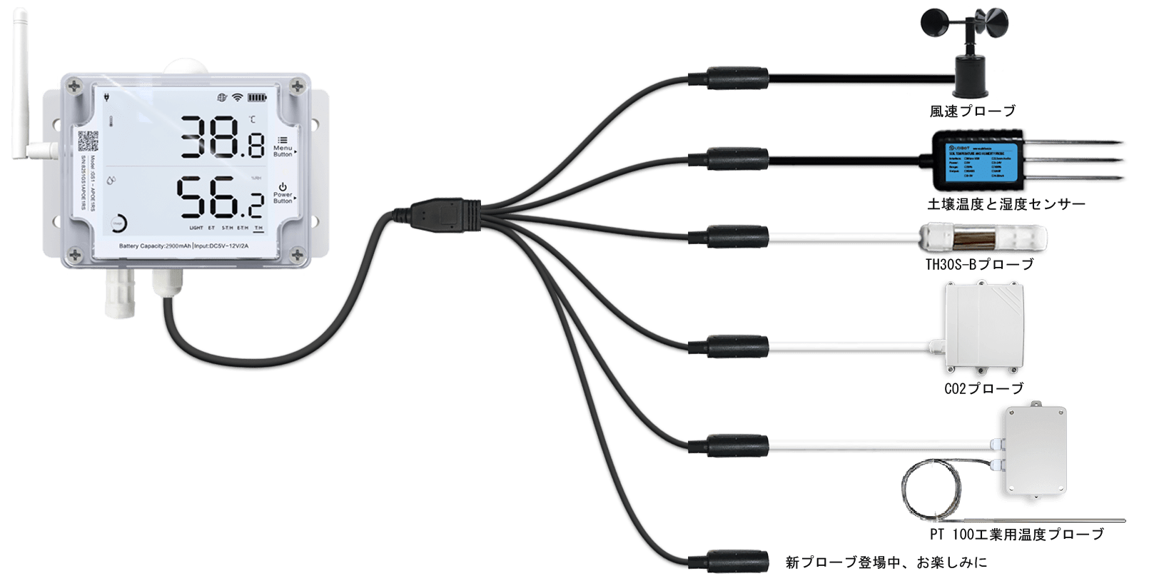 temperature sensor with external probes