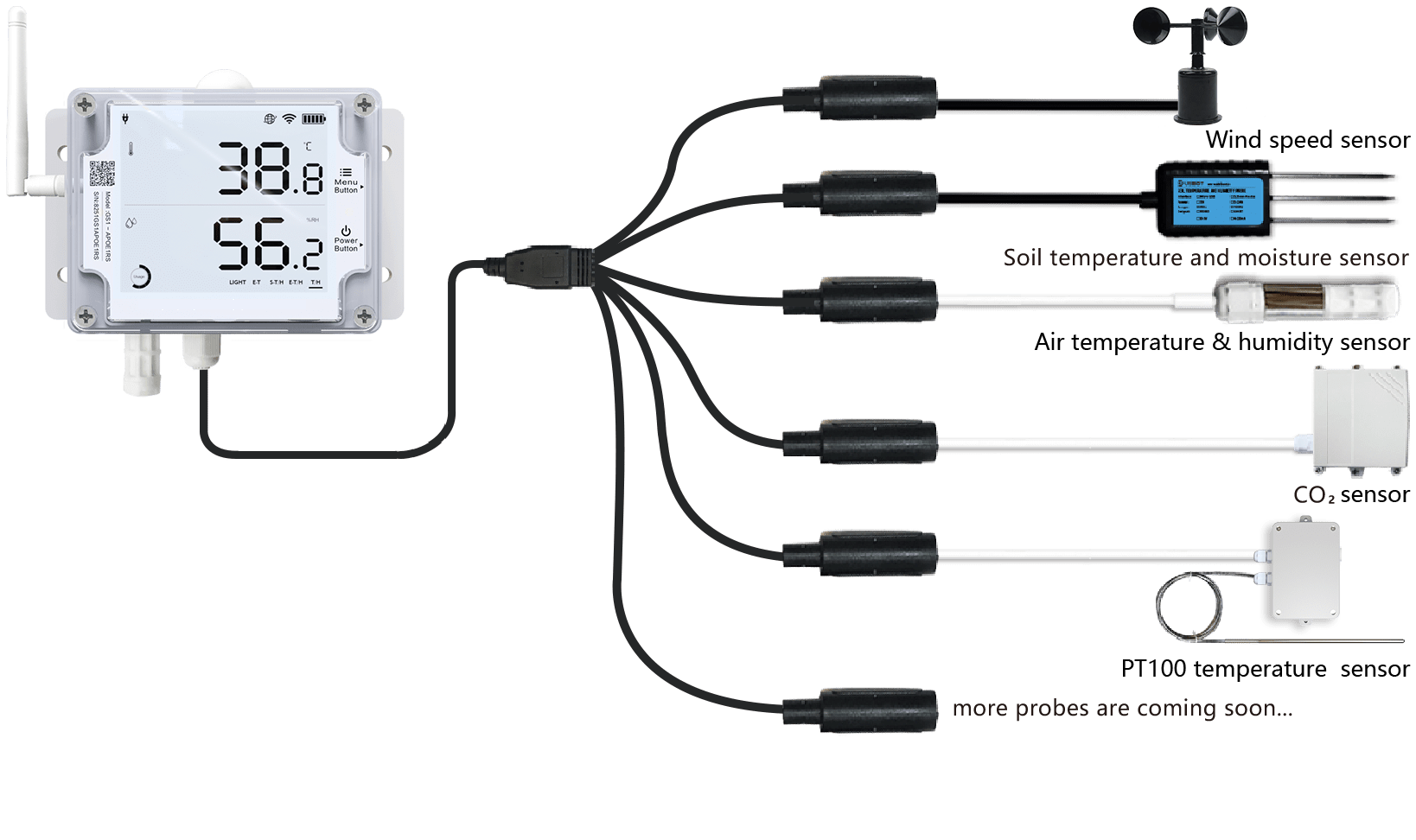 temperature sensor with external probes