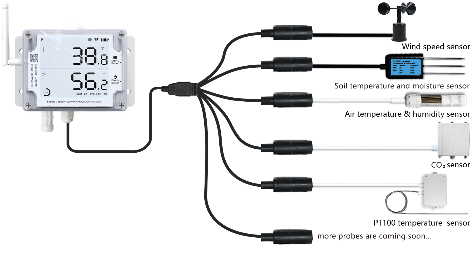 temperature sensor with external probes