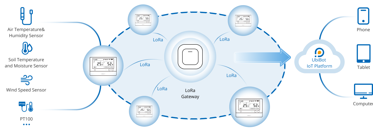 ws1prol-Connectivity