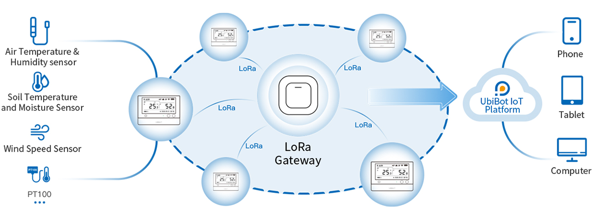 ws1prol-Connectivity