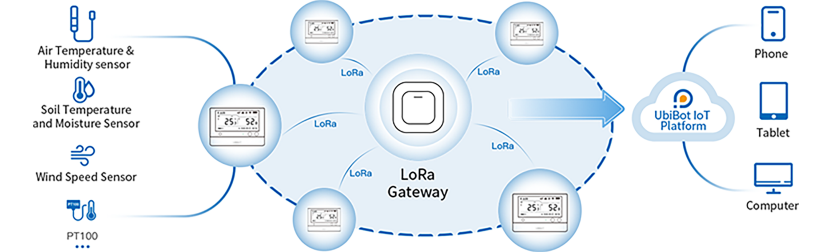 xs-ws1prol-Connectivity