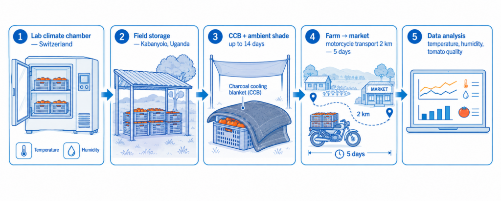 The study combined laboratory testing in Switzerland with field tomato storage and farm-to-market trials in Uganda.
