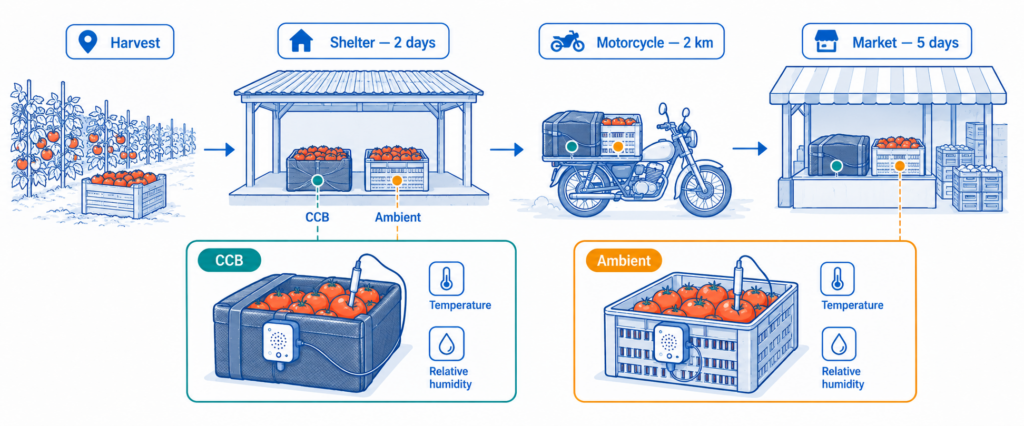 The farm-to-market test showed that CCB use helped lower tomato core temperature and extend remaining shelf life.