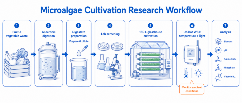 Research workflow from digestate preparation to pilot-scale cultivation, environmental monitoring, and biomass analysis.