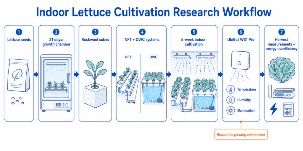 Research workflow from seedling growth to NFT/DWC cultivation, environmental monitoring, harvest measurement, and energy-use efficiency calculation.
