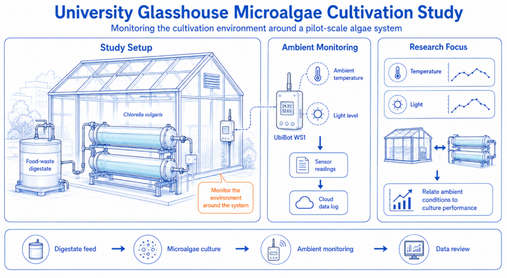 Study overview: UbiBot WS1 monitored ambient temperature and light around glasshouse photobioreactors during Chlorella vulgaris cultivation.