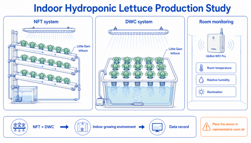 Study overview: UbiBot WS1 Pro monitored room temperature, relative humidity, and illumination during hydroponic lettuce production.