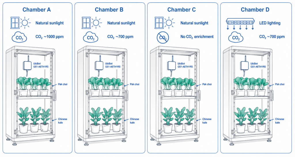 Four cultivation chambers compared different CO₂ and lighting conditions, with UbiBot devices recording chamber-level environmental data.