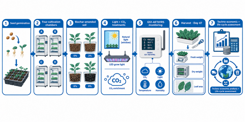 Research workflow from crop cultivation and CO₂ enrichment testing to techno-economic and life-cycle assessment.